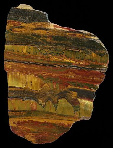 Marra Mamba Stromatolite - Mt Brockman ( Billion Years) #63099